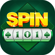 Spin101